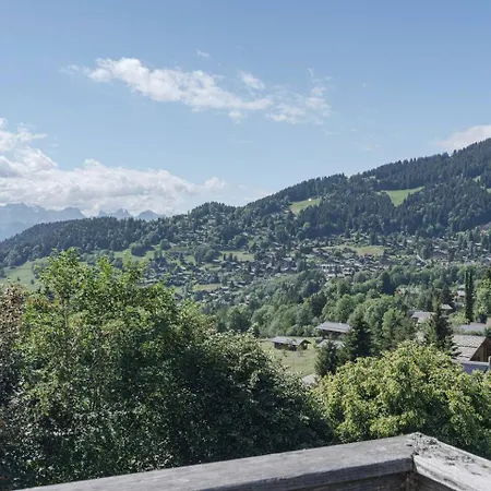 Vieux Bois, Vue Alpes, Centre De *
